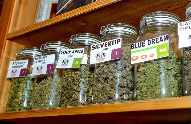 cannabis strains